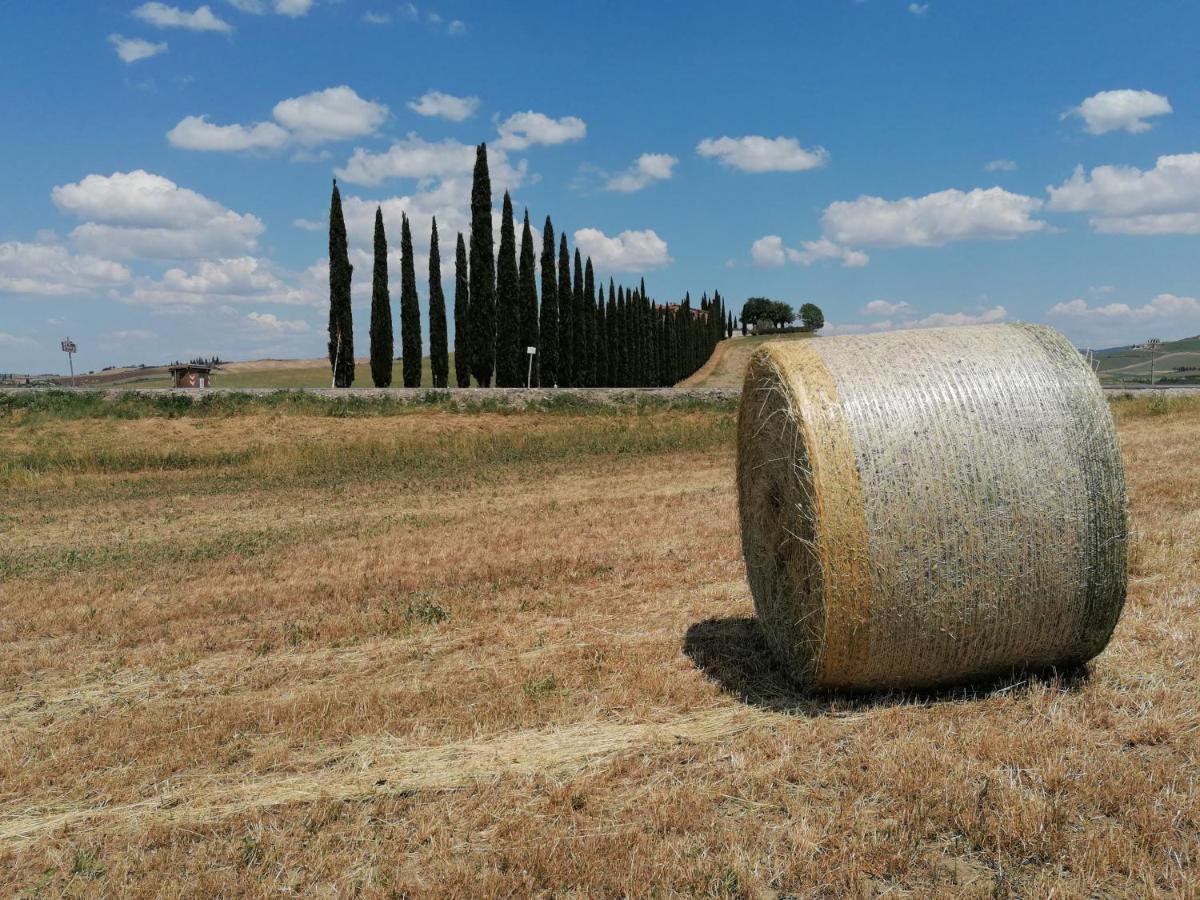Agriturismo La Poderina Bagno Vignoni Kültér fotó